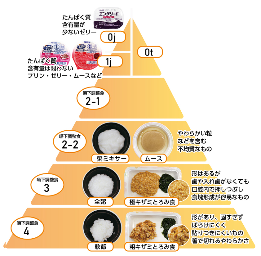 嚥下食ピラミッド 2025